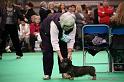 Crufts2011_2 1104